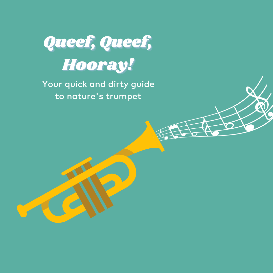 "Queef, queef, hooray! You're quick and dirty guide to nature's trumpet" image of trumpet with musical notes